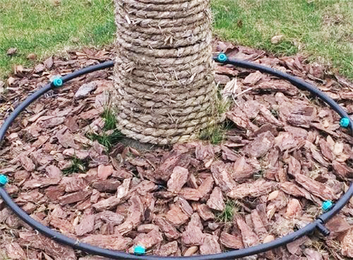 濟南市色花堂節水灌（guàn）溉器材有限公司