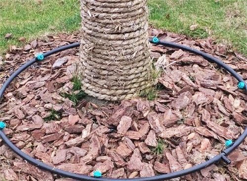 常用的（de）滴灌類型（xíng）及特點