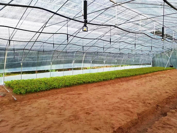 濟南市（shì）色花堂節水灌溉器材有限公司